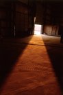 Luz solar da porta — Fotografia de Stock