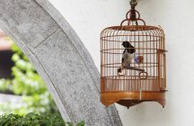 Gabbia per uccelli di vimini — Foto stock