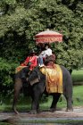 Touristen reiten Elefanten — Stockfoto