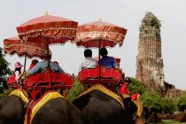 Tourist riding elephants — Stock Photo