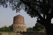 Stupa dhamekh, india - foto de stock