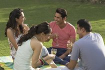Друзі на пікніку, п'ють вино — стокове фото