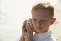 Boy listening to seashell — Stock Photo