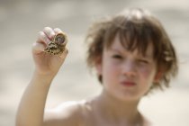 Мальчик держит краба-отшельника — стоковое фото