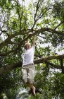 Jeune garçon sur l'arbre — Photo de stock