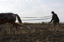Hombre con arado tirado por caballos - foto de stock