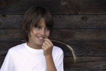 Мальчик с куском пшеницы в зубах — стоковое фото