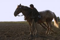 Человек с лошадью в поле — стоковое фото