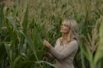 Жінка стоїть серед стебел кукурудзи — стокове фото