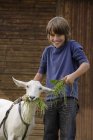 Junge steht und füttert Ziege — Stockfoto