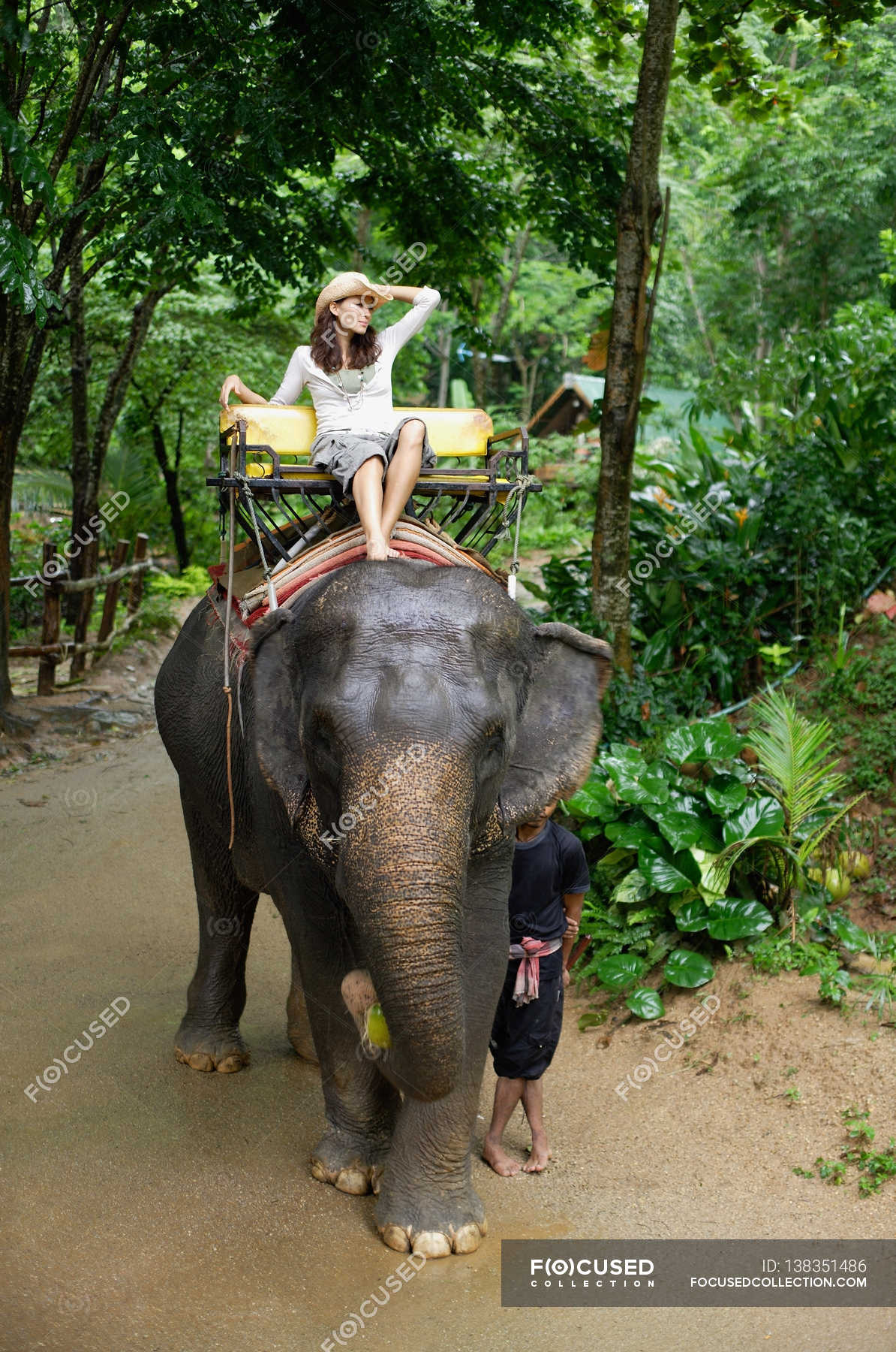 Donna seduta su un elefante — Turista, A piedi nudi - Stock Photo ...