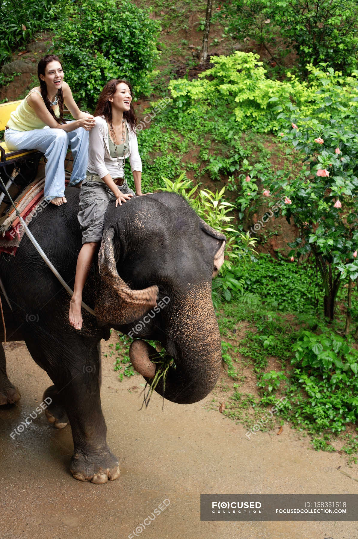 https://st.focusedcollection.com/11214574/i/1800/focused_138351518-stock-photo-women-riding-on-elephant.jpg