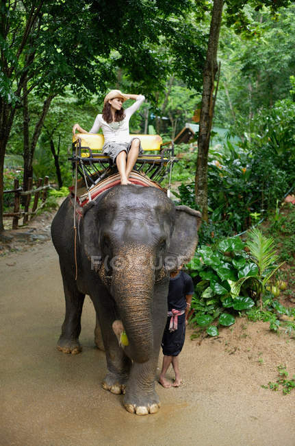 Жінка сидить на слоні — стокове фото