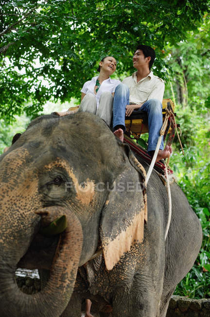 Casal equitação elefante — Fotografia de Stock