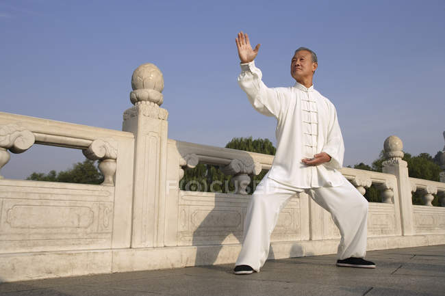 Людина практики китайських бойових мистецтв — стокове фото