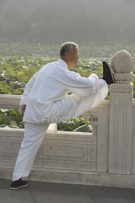 Man practices Chinese martial arts — Stock Photo