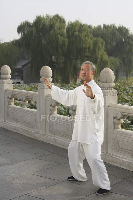 Людина практики китайських бойових мистецтв — стокове фото