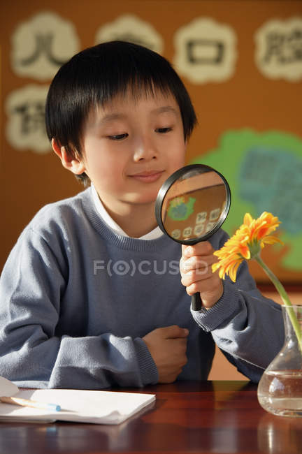 Schoolboy looking at flower with magnifying glass — Stock Photo