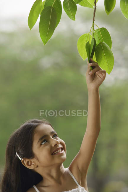 Girl reaching for tree leaf — Stock Photo