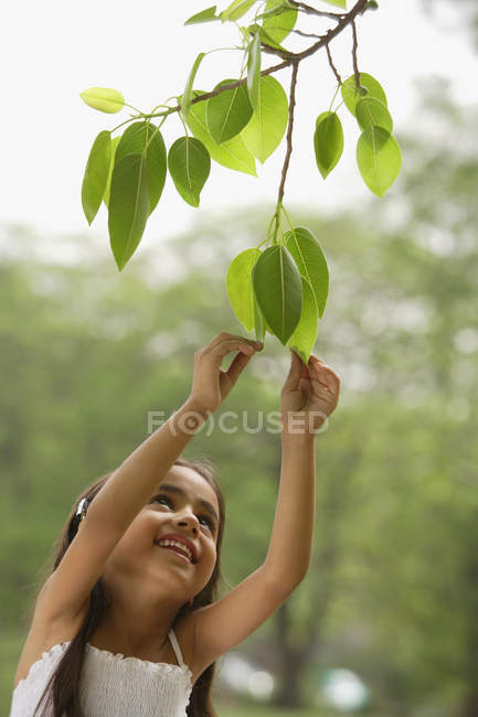 Fille atteindre pour arbre feuille — Photo de stock