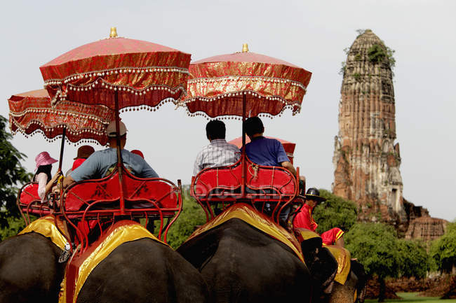 Elefantes de equitación turística - foto de stock
