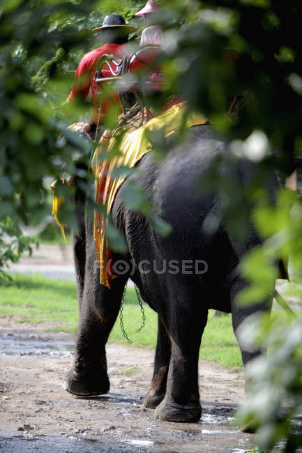 Turismo cavalcando un elefante — Foto stock