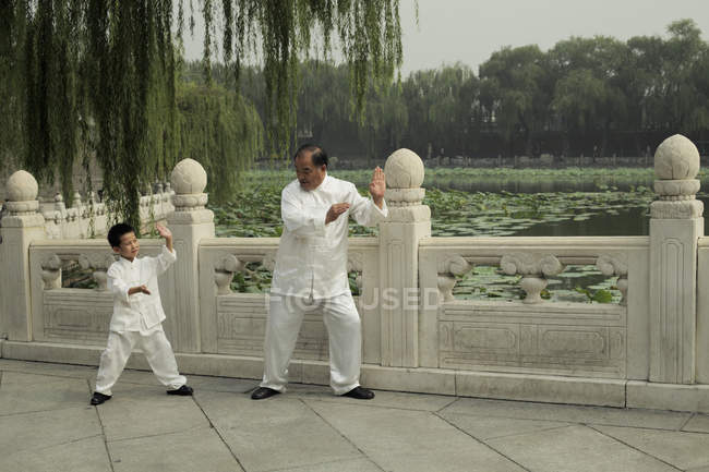 Menino e homem mais velho fazendo Tai Chi — Fotografia de Stock