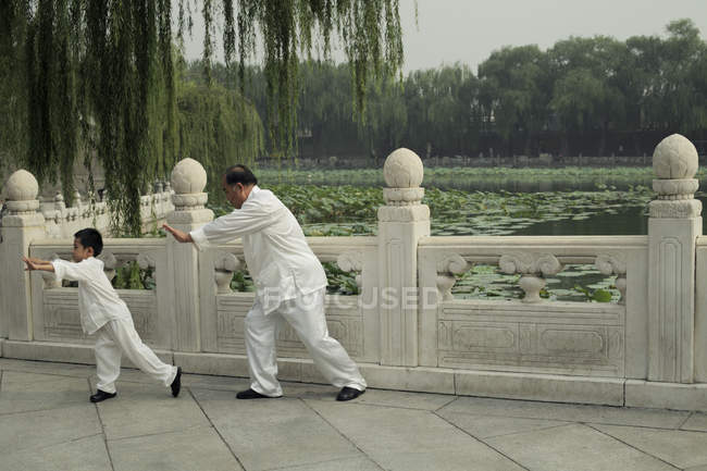 Ragazzo e uomo più anziano facendo Tai Chi — Foto stock