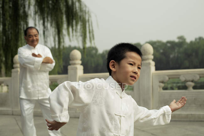 Мальчик и пожилой мужчина, занимающийся Тай Чи — стоковое фото