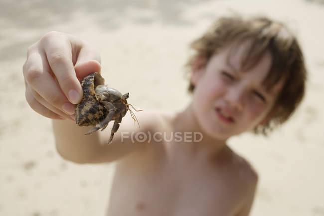 Boy holding up hermit crab — Stock Photo
