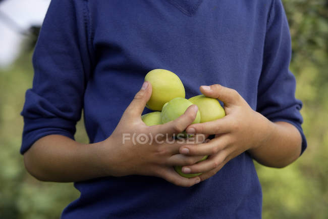 Chico con la mano llena de manzanas - foto de stock
