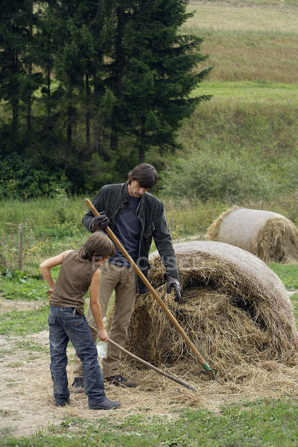 Father and son hoeing hay — Stock Photo