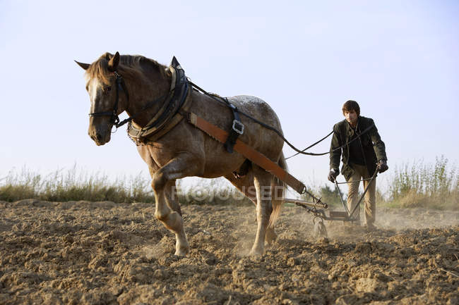 Uomo con aratro trainato da cavalli — Foto stock