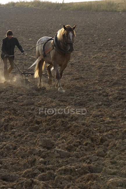 Homme à charrue tirée par un cheval — Photo de stock