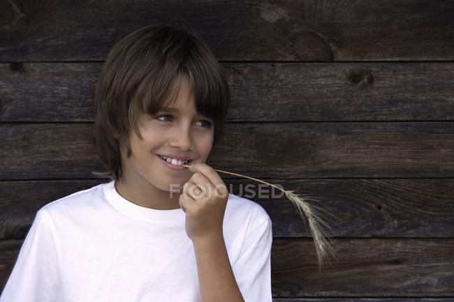 Niño con trozo de trigo en los dientes - foto de stock