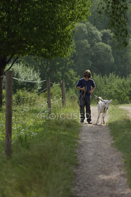 Boy with goat on farm — Stock Photo