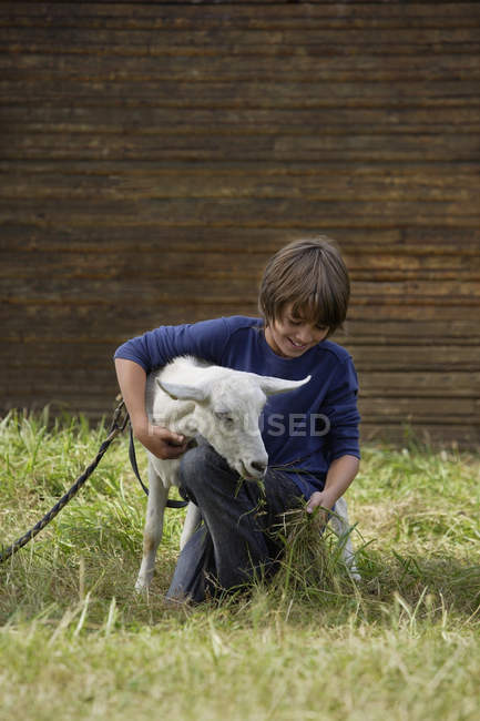 Boy siting and feeding goat — Stock Photo