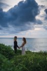 Vista lateral de pareja romántica joven tomados de la mano y mirándose mientras están en la colina junto al mar - foto de stock