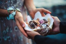 Close up of man and woman holding sea shells — Stock Photo