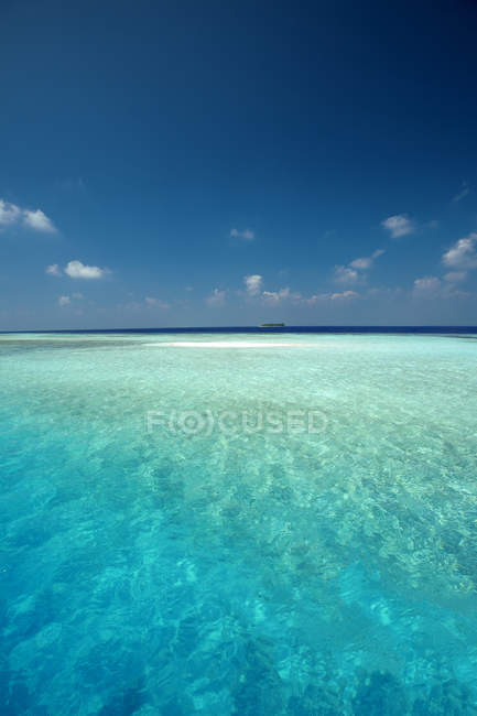 Indian Ocean Stock Photos Royalty Free Images Focused