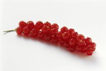 Red berries Currants — Stock Photo