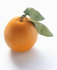 Naranja con hojas verdes - foto de stock
