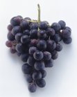 Пучок червоного винограду — стокове фото