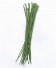 Erba cipollina verde fresca — Foto stock