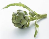 Green fresh artichoke — Stock Photo