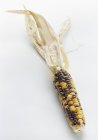 Fresh Ripe Indian Corn — Stock Photo