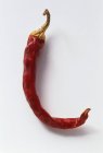 A Dried De Arbol Chili on white background — Stock Photo