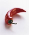 Ein rohes rotes Serrano Chili auf weißem Hintergrund — Stockfoto