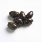 Aceitunas negras marinadas - foto de stock