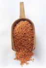 Lenticchie brune indiane — Foto stock